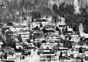 Des King - Alesund
